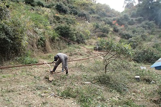 20131221175634.JPG