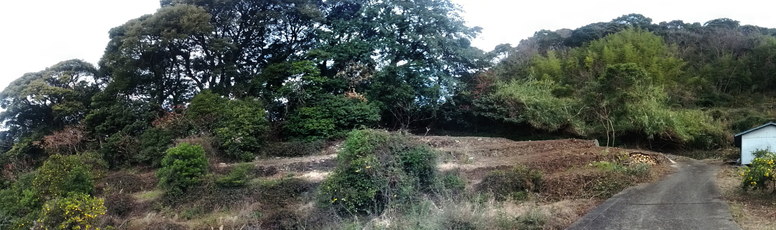 2014-01-10_1.jpg