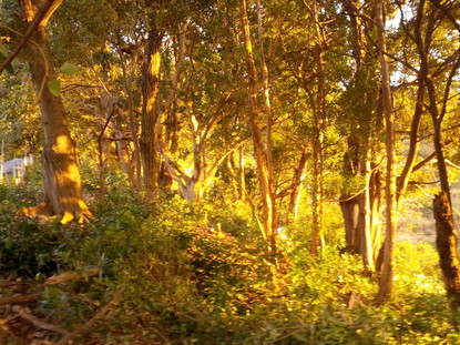 2014-01-11-2.jpg