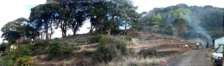 2014-01-19_1.jpg