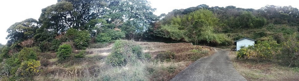 20140110184446.jpg