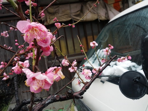 20140208130323.jpg