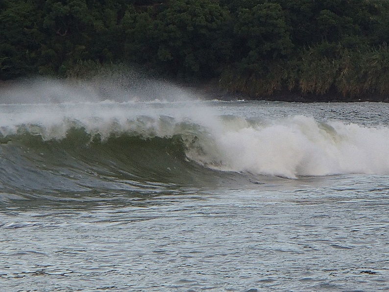 20140808064935.JPG