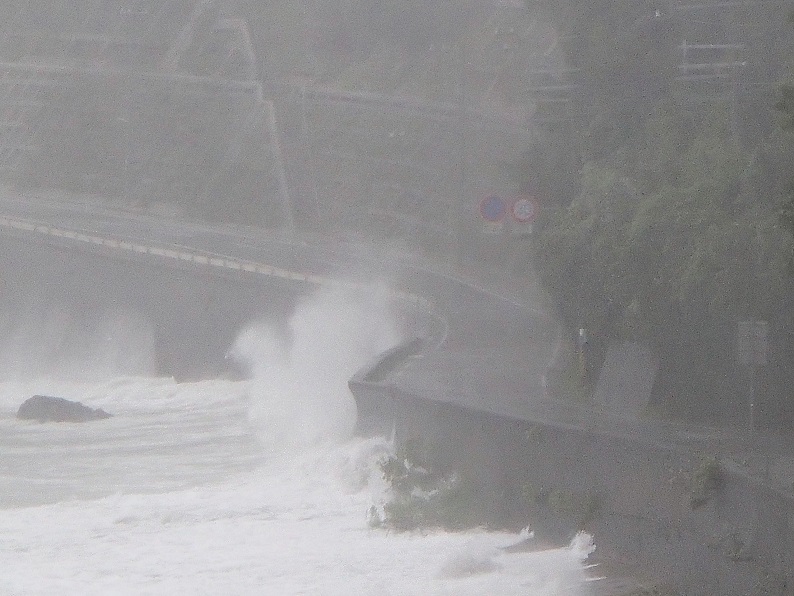 20140810115538.JPG