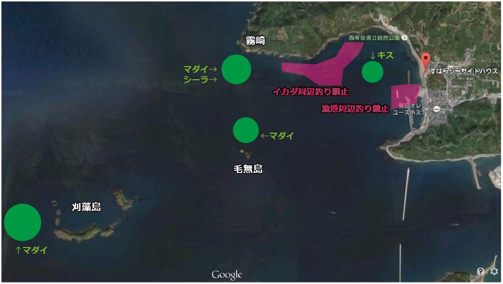 20150623155232.JPG