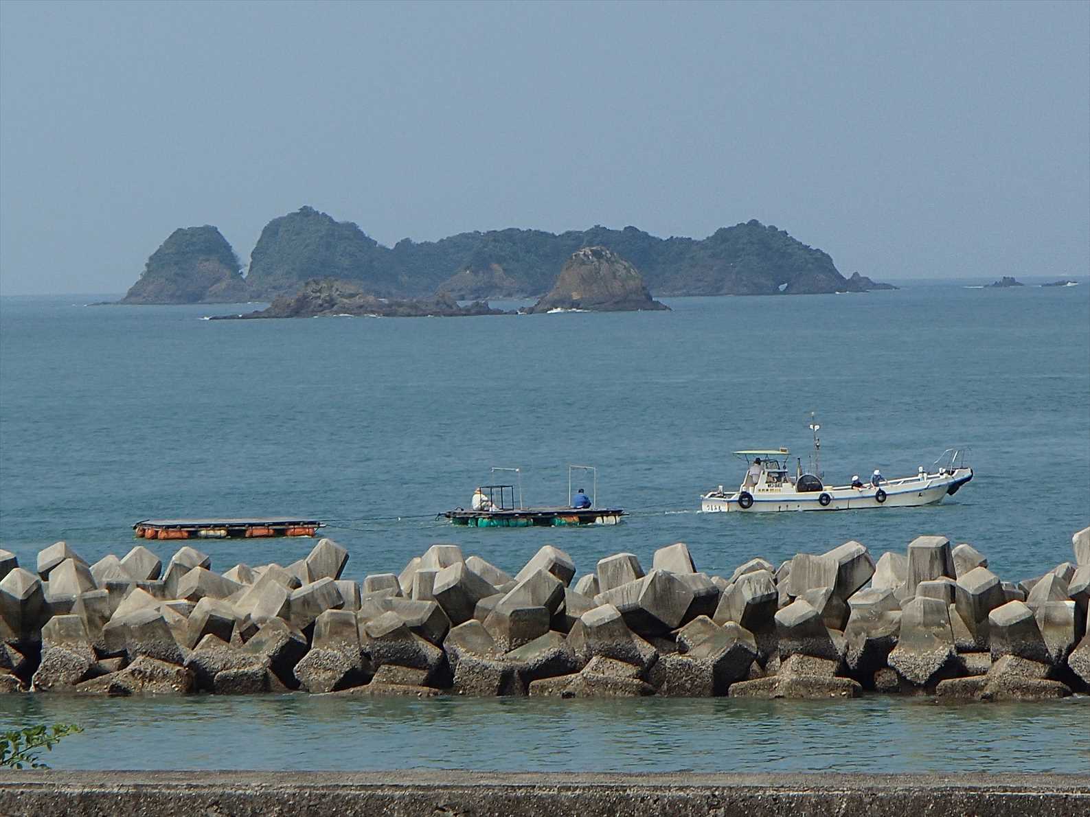 P7110008.JPG