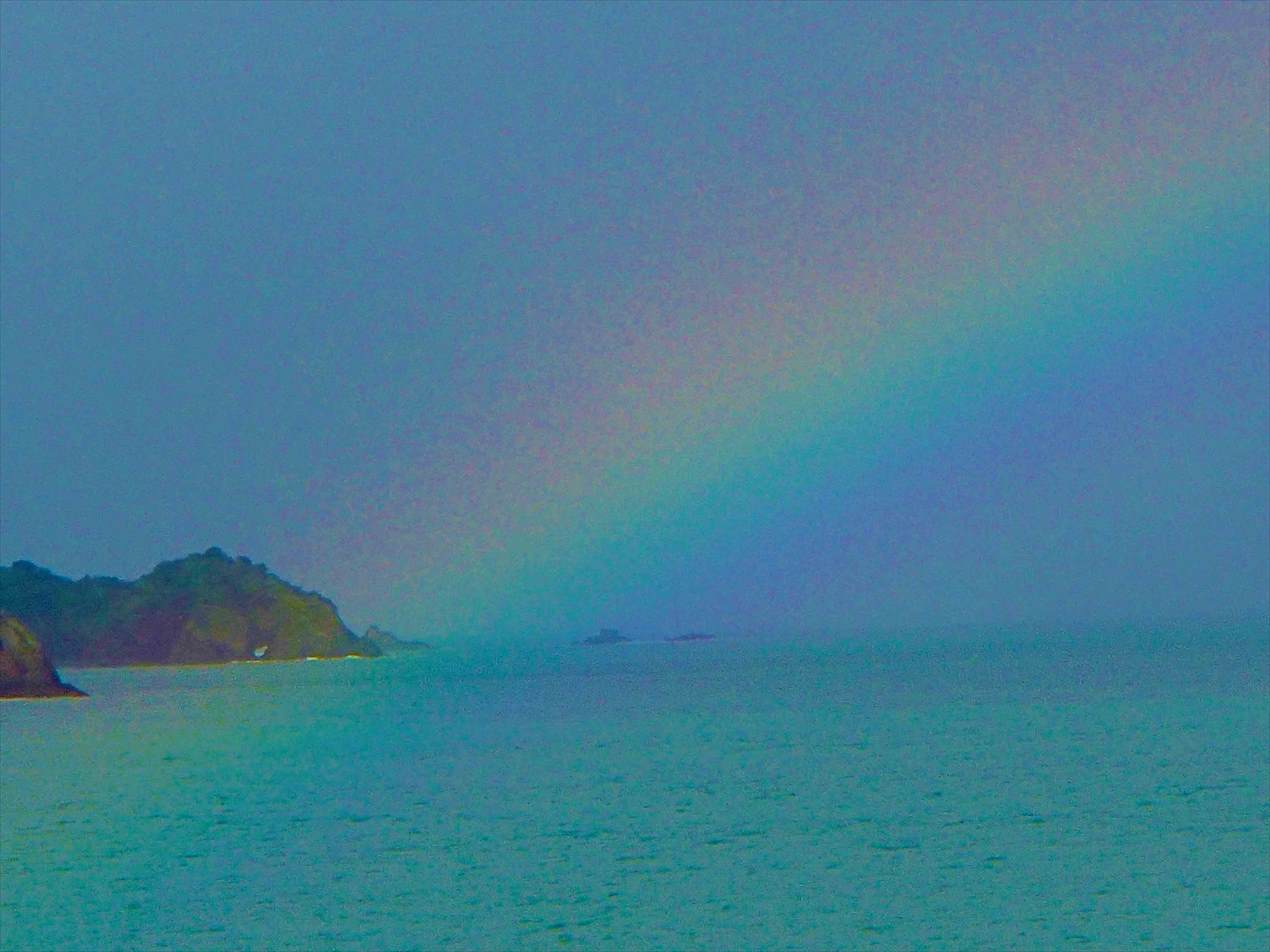P8060006-2.jpg