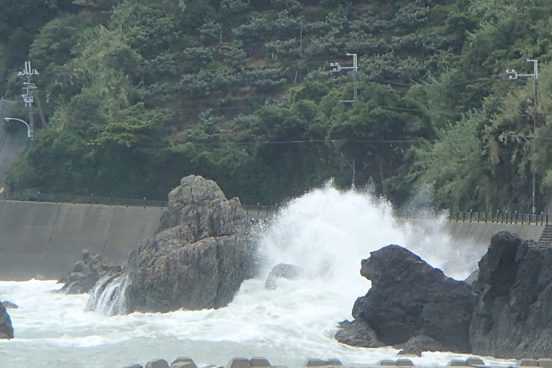 PA060014.JPG