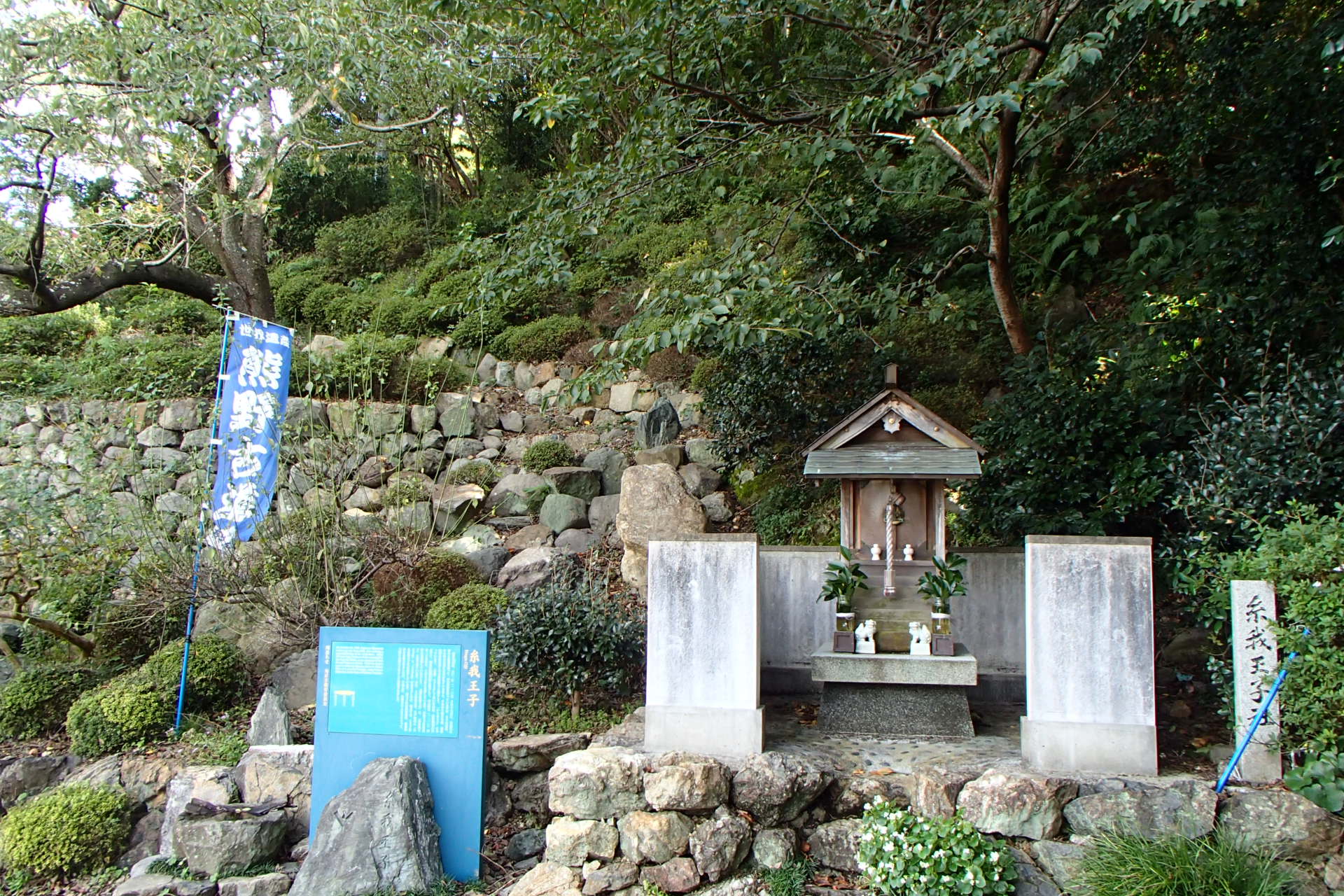 PA230017.JPG