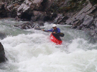 PB110088_200.jpg